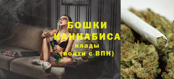 PSILOCYBIN Абаза